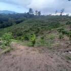 FINCA DE 113 TAREAS DE VENTA EN SAN JOSE DE OCOA
