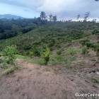 FINCA DE 113 TAREAS DE VENTA EN SAN JOSE DE OCOA