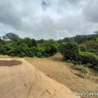 FINCA DE 710 TAREAS DE VENTA EN SAN JOSE DE OCOA