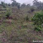 FINCA DE 113 TAREAS DE VENTA EN SAN JOSE DE OCOA