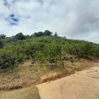 FINCA AGRICOLA DE VENTA EN SAN JOSE DE OCOA