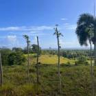 1084- FINCA EN GASPAR HERN&Aacute;NDEZ