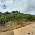 FINCA DE 710 TAREAS DE VENTA EN SAN JOSE DE OCOA