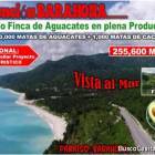 Vendo Finca de AGUACATE en Para&iacute;so, BARAHONA, 255,600 Mts.2, VISTA AL MAR (en Producci&oacute;n)