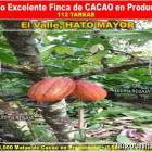 ULTIMA REBAJA en Finca de CACAO en PRODUCCION, 112 tareas, en El Valle de HATO MAYOR,  Super Oportun