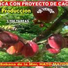 Vendo Finca de 3,700 tareas CON PROYECTO CACAO EN SABANA DE LA MAR (Cacao de Alto Rendimiento)
