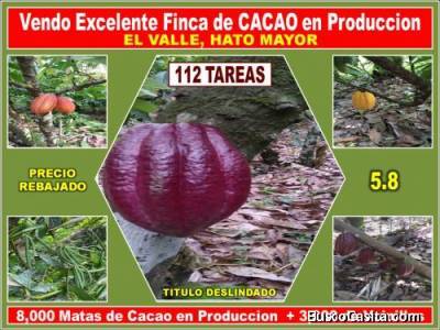 ULTIMA REBAJA en Finca de CACAO en PRODUCCION, 112 tareas, en El Valle de HATO MAYOR,  Super Oportun