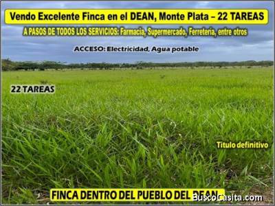 Vendo Finca GANADERA &ndash; AGRICOLA de 22 tareas dentro del DEAN, MONTE PLATA