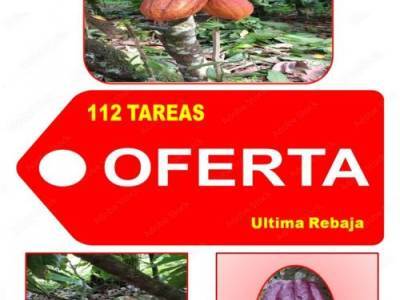 ULTIMA REBAJA en Finca de CACAO en PRODUCCION, 112 tareas, en El Valle de HATO MAYOR,  Super Oportun