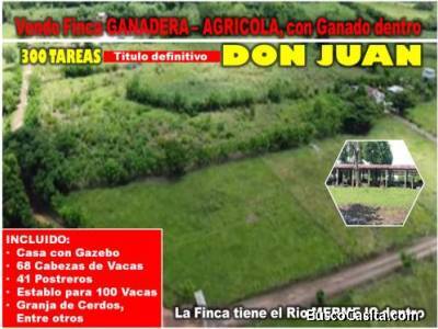 Vendo SUPER Finca Ganadera y Agr&iacute;cola, 300 Tareas en Don Juan, Monte Plata, con GANADO DENTRO y OTRO