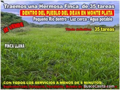 Vendo Finca GANADERA &ndash; AGRICOLA de 35 tareas dentro del DEAN, MONTE PLATA