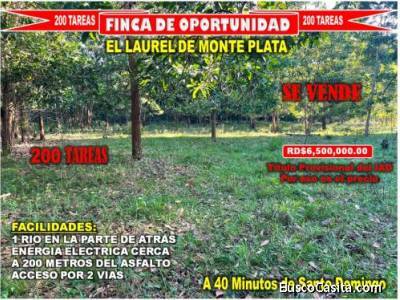 Vendo Finca GANADERA &ndash; AGRICOLA de 200 tareas en el LAUREL, Monte Plata
