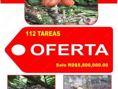 ULTIMA REBAJA en Finca de CACAO en PRODUCCION, 112 tareas, en El Valle de HATO MAYOR