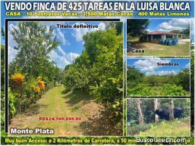 Vendo Finca de Ganadera &ndash; Agr&iacute;cola en LA LUISA BLANCA, 425 tareas, con Casa