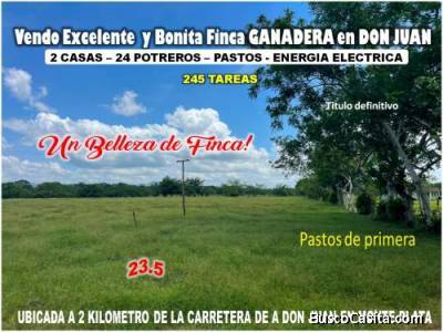 Vendo BELLA  Finca GANADERA CON SUS PASTOS, 245 tareas en DON JUAN, MONTE PLATA