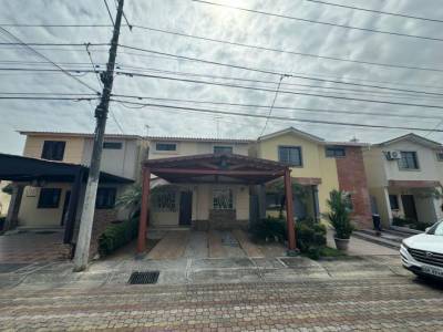 Milan Altagracia