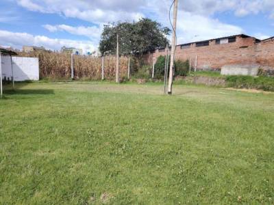 Rento Terreno de 2600 m&sup2; con Casa Ideal Negocios Sector Tola Chica - Tumbaco