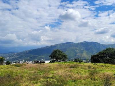 Terreno en Arriendo Para Distinto Tipo de Negocio