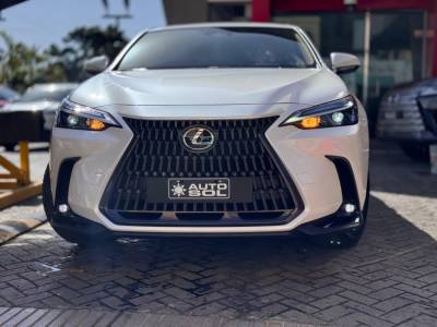 Lexus NX-250 2025