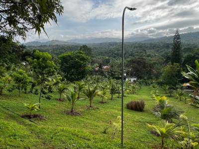Finca En Villa Altagracia, San Crist&oacute;bal