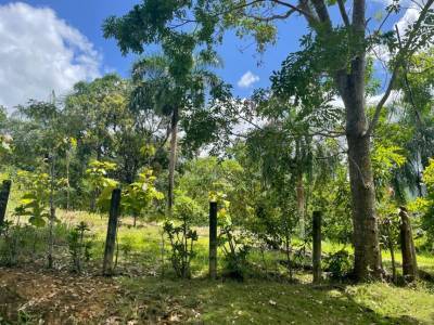 SOLAR DE VENTA EN COLINAS DE MINA VILLA ALTAGRACIA