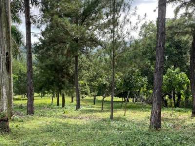 Terreno En Villa Altagracia, San Crist&oacute;bal