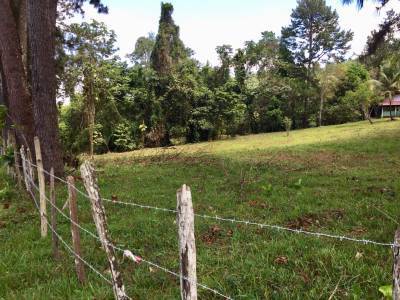 TERRENO EN VENTA LA CUMBRE, ENTRE PINARES