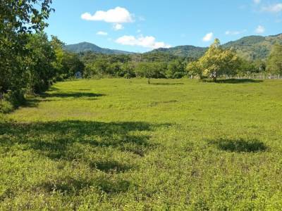 Terreno en Villa Altagracia, Los Mogotes
