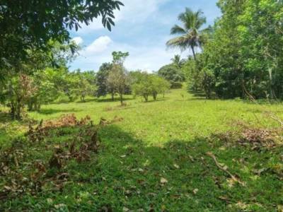 Terreno en venta