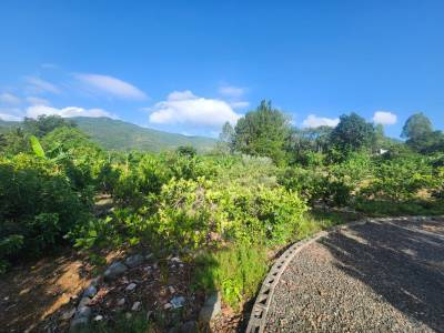 Finca en Venta en los Mogotes, Villa Altagracia