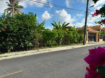 TERRENO EN VENTA MADRE VIEJA SUR SAN CRIST&Oacute;BAL