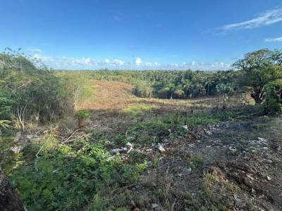 Terreno en venta - Bajos de Haina