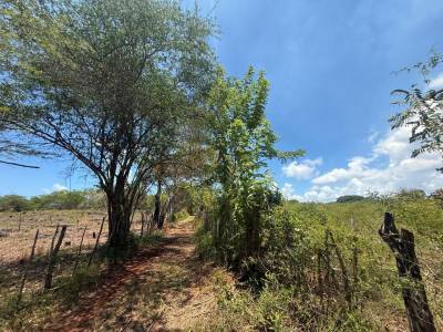 TERRENO EN VENTA LOS YAGRUMOS, SAN CRIST&Oacute;BAL